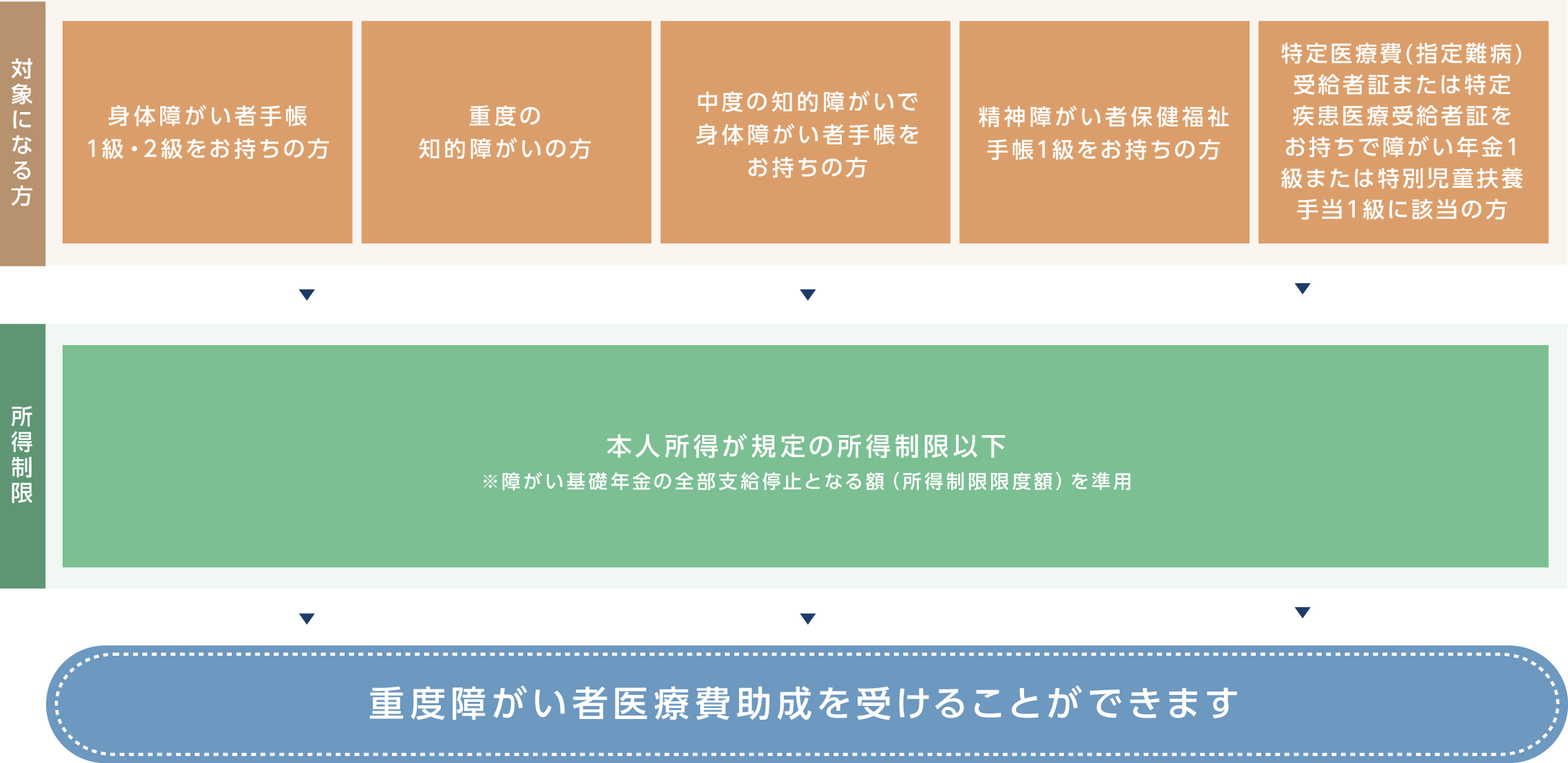 所得制限など制限がありますが、障がい等級が1級・2級の身体障がい者手帳をお持ちの方や重度の知的障がいの方、中度の知的障がいで身体障がい者手帳をお持ちの方は重度障がい者医療費助成を受けることができます。