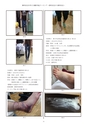 第10回 大阪学術大会 論文集